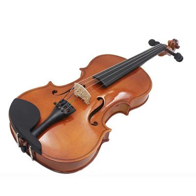 Violino iniciante